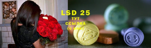круглые Алзамай