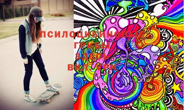 стафф Алексин