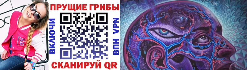 Псилоцибиновые грибы GOLDEN TEACHER Сосенский